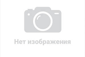 ��� ����������