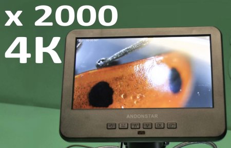 ������ ���������? ����� ���� �����. �������� ��������� Andonstar AD246SM